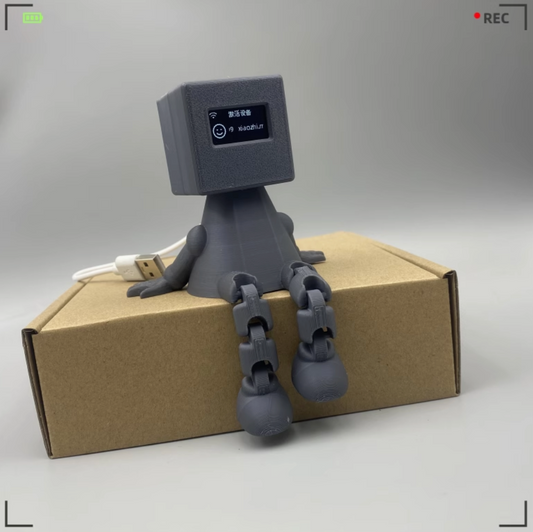 Box Robot with USB-C Port